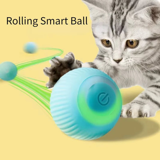 Interactive Pet Fun 'Smart Ball'