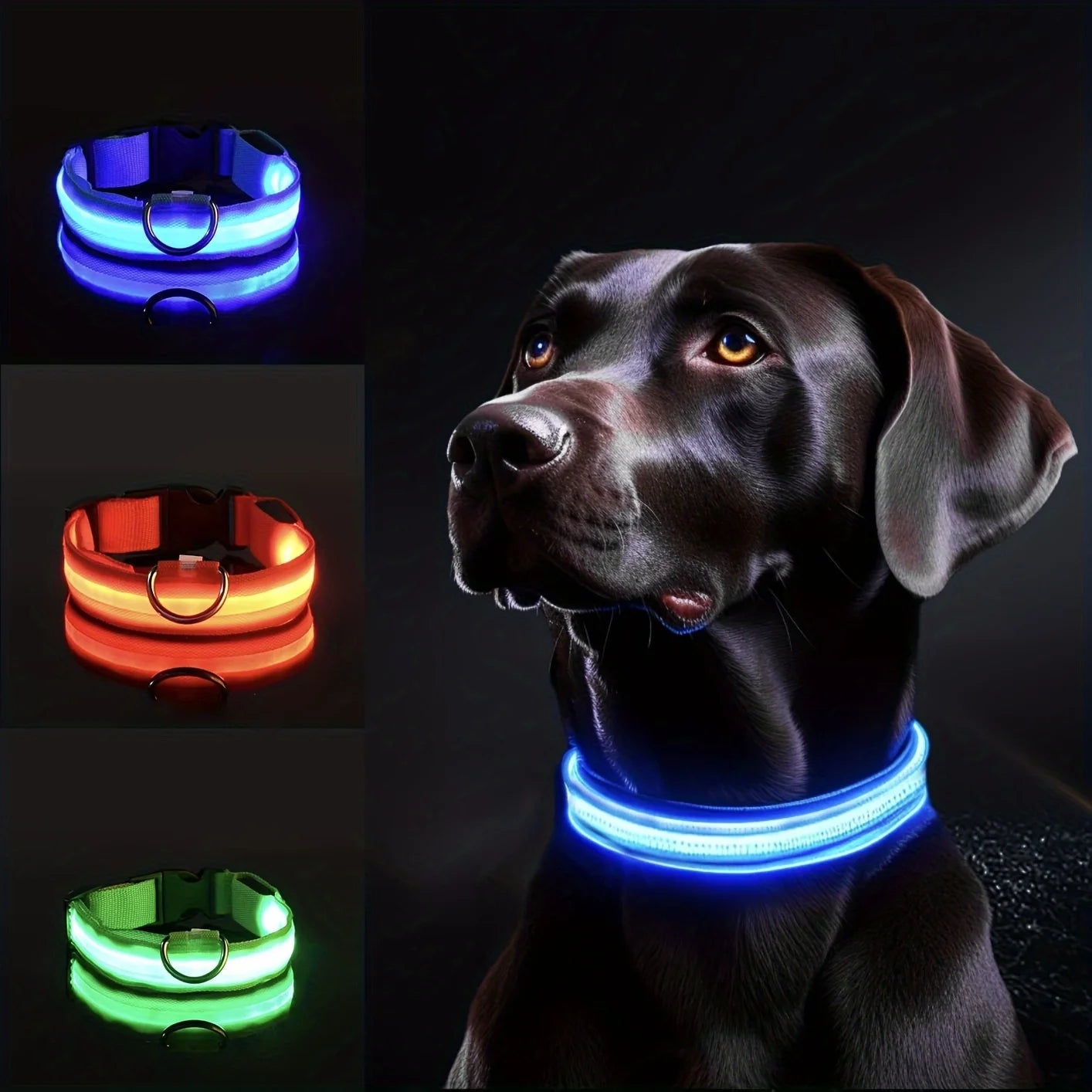 LED Dog Collar